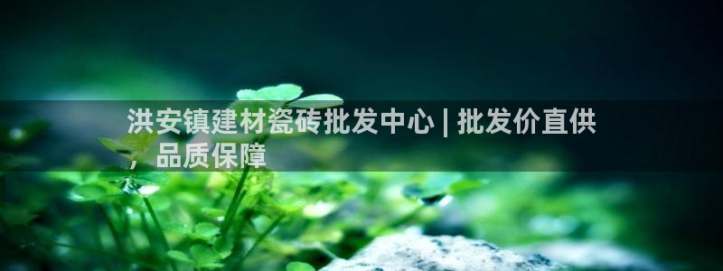 杏鑫注册平台官方网站入口