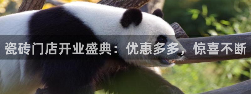 杏鑫平台代理注册