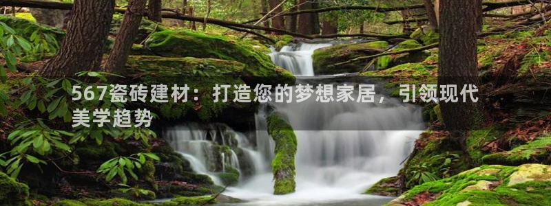 杏鑫平台代理注册