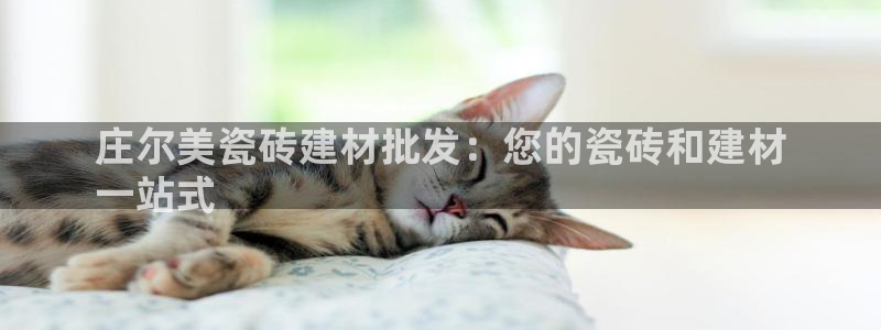 杏鑫平台怎么样黑钱吗是真的吗知乎