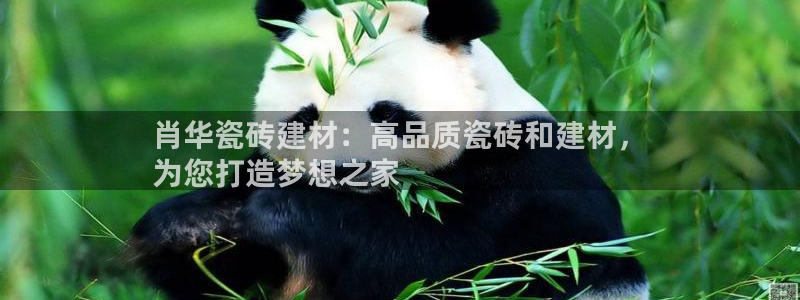 杏鑫平台怎么样黑钱吗安全吗是真的吗