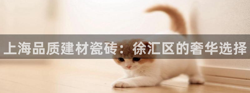 杏鑫平台怎么样黑钱吗