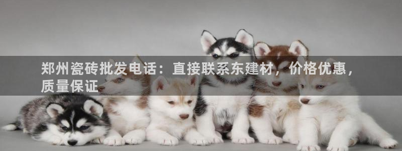 杏鑫平台注册入口