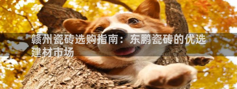 杏鑫娱乐平台登录