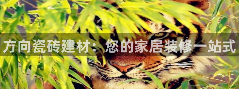 杏鑫平台野马联盟怎么样