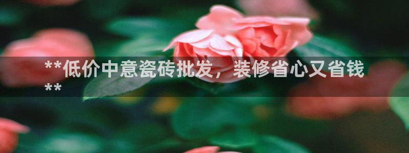 杏鑫官网注册账号密码