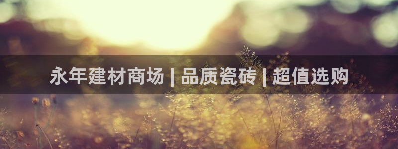 杏鑫官网注册账号是什么意思