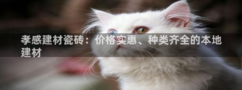 杏鑫平台招商电话号码查询
