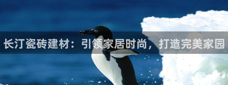 杏鑫平台招商电话