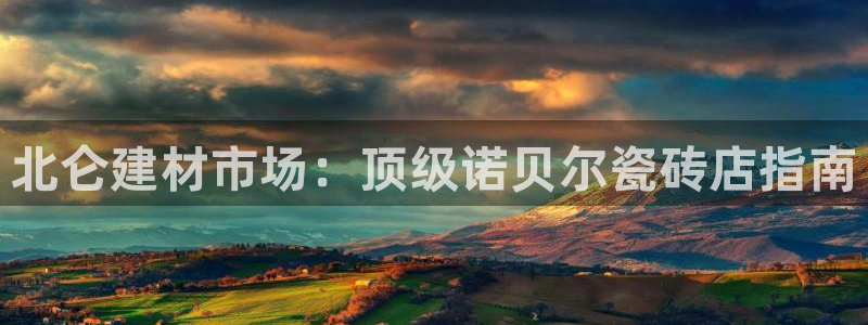 杏鑫平台代理注册流程图