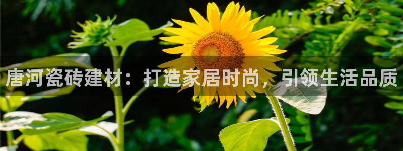 杏鑫官网注册账号密码