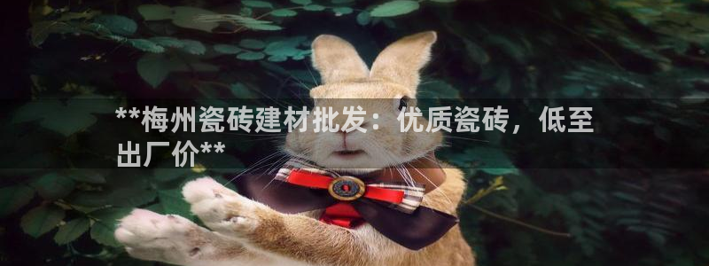 杏鑫注册登录网址是什么