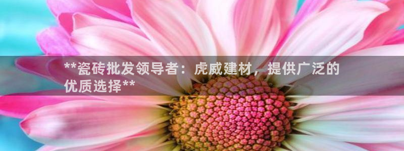 杏鑫官网
