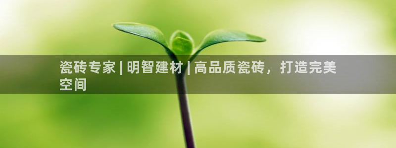 杏鑫平台招商电话号码是多少
