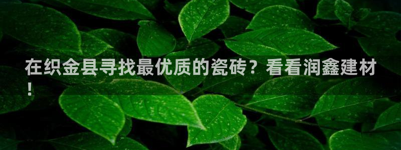 杏鑫平台测速怎么样