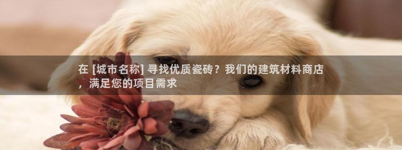 杏鑫官网注册账号怎么注册不了