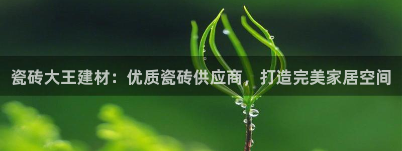 杏鑫娱乐是真的吗