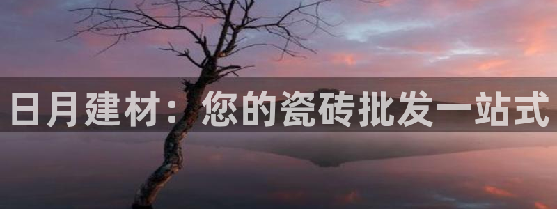 杏鑫平台平台