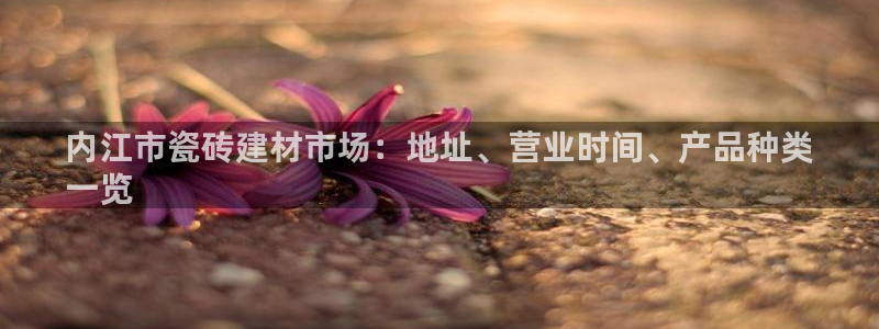 杏鑫平台代理注册多少钱一个