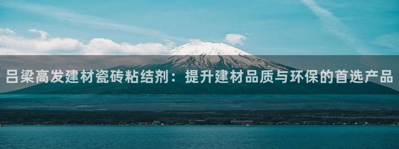 杏鑫官方app代理