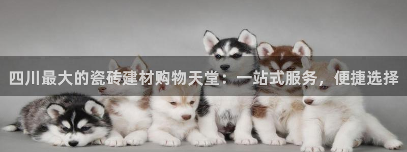 杏鑫平台待遇