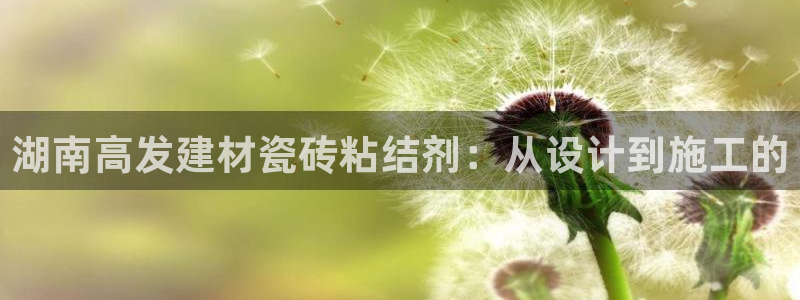 杏鑫平台注册网址查询