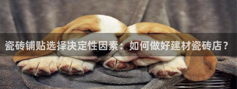 杏鑫娱乐官网