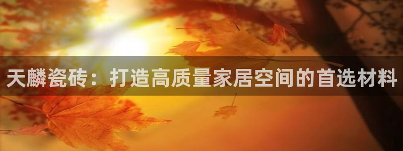 杏鑫官方平台怎么样啊知乎
