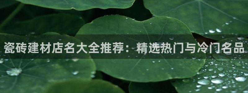 杏鑫平台是黑平台吗知乎
