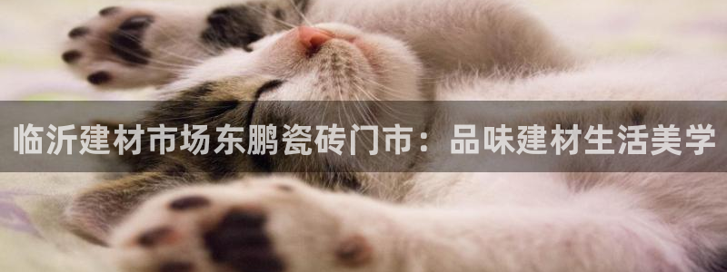 杏鑫测速注册