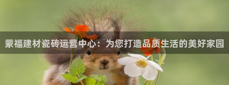 杏鑫娱乐是真的吗还是假的