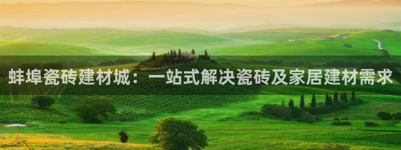 杏鑫平台招商