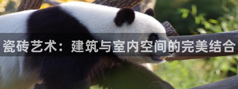 杏鑫平台代理注册流程视频