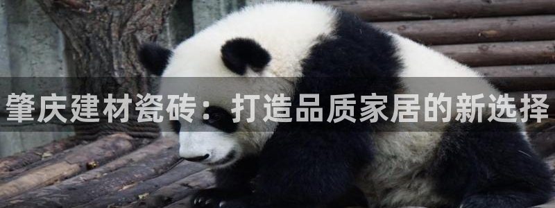 杏鑫官网注册账号怎么注册的