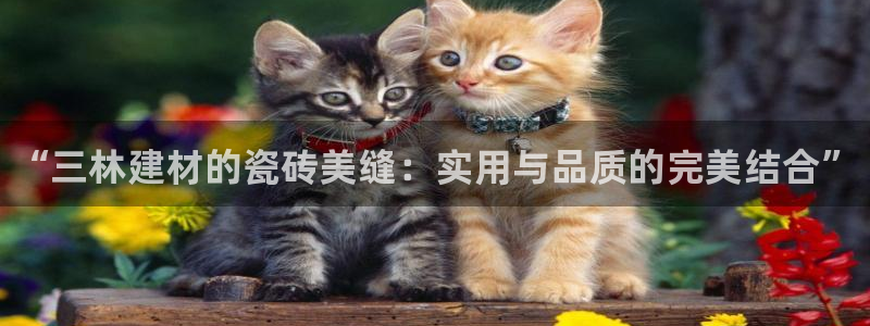 杏鑫娱乐开发团队