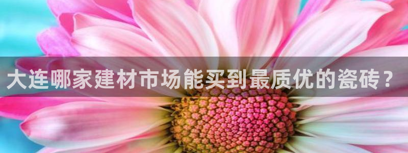 杏鑫平台代理怎么做