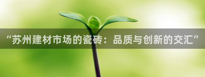 杏鑫娱乐多少年了