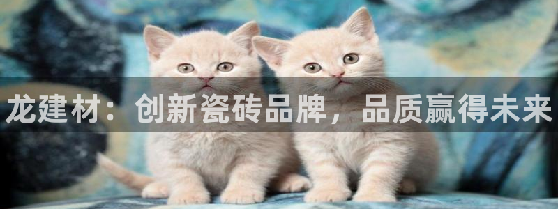 杏鑫娱乐官方网站客户端登录