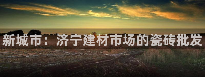 杏鑫平台代理注册登录不了怎么办呀