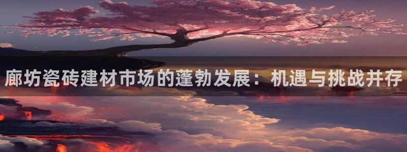 杏鑫官网最新信息