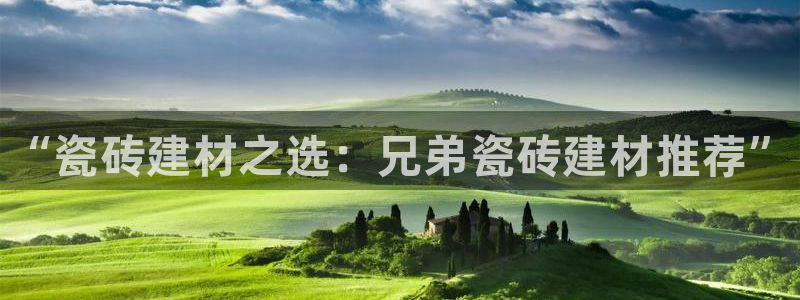 杏鑫注册登录代理