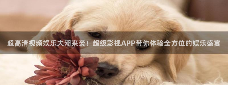 真不卡影视电视剧免费观看全集