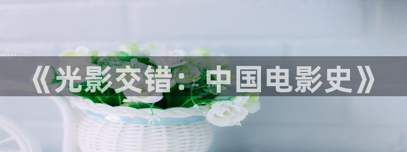 偷偷藏不住真不卡影院