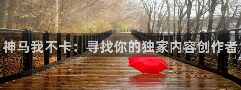 www.真不卡影院：神马我不卡：寻找你的独家内容创作者