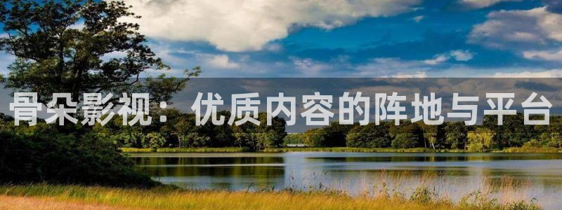 真不卡影院电影盒子免费观看：骨朵影视：优质内容的阵地与平台